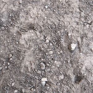 Meet your Posher, Pedro